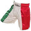 FIGHT-FIT - Box Shorts Long / Italien-Italia
