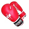 FIGHTERS - Boxing Gloves for Kids / Attack / 6 oz / Red