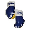 FIGHT-FIT - Mini Boxhandschuhe / Bosnien-Bosna