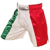 FIGHT-FIT - Muay Thai Shorts / Italien / Tri Colore / Medium