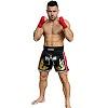 FIGHTERS - Shorts de boxe thai / Elite Pro Fighters / Noir-Rouge